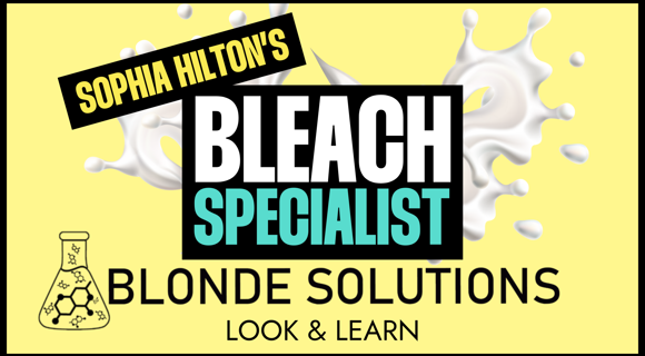 Blonde Solutions Bleach Specialist Look & Learn